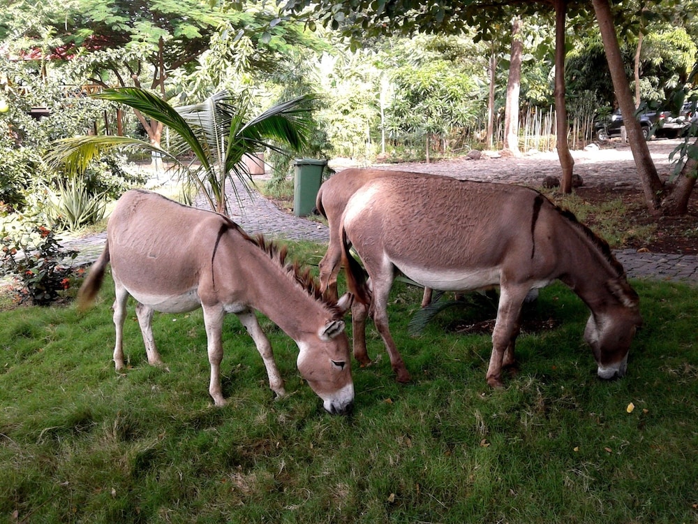 Mucumbli Hotel 38/48