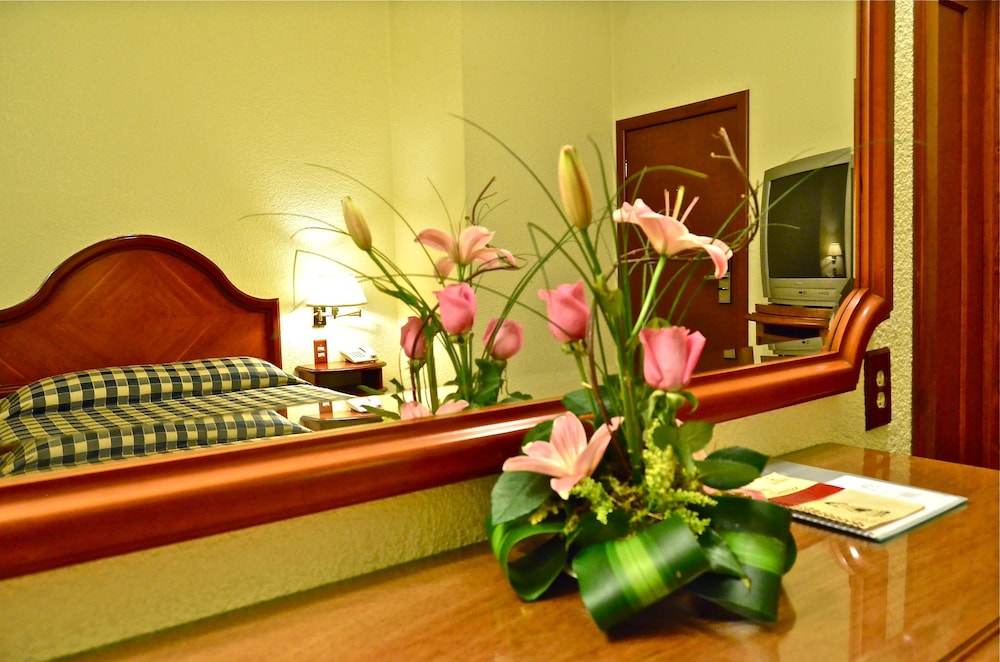 Hotel Lastra 36/50
