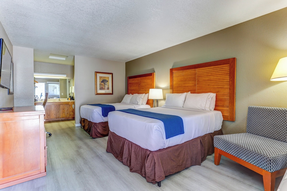 Rodeway Inn Jackson - Martell 18/57