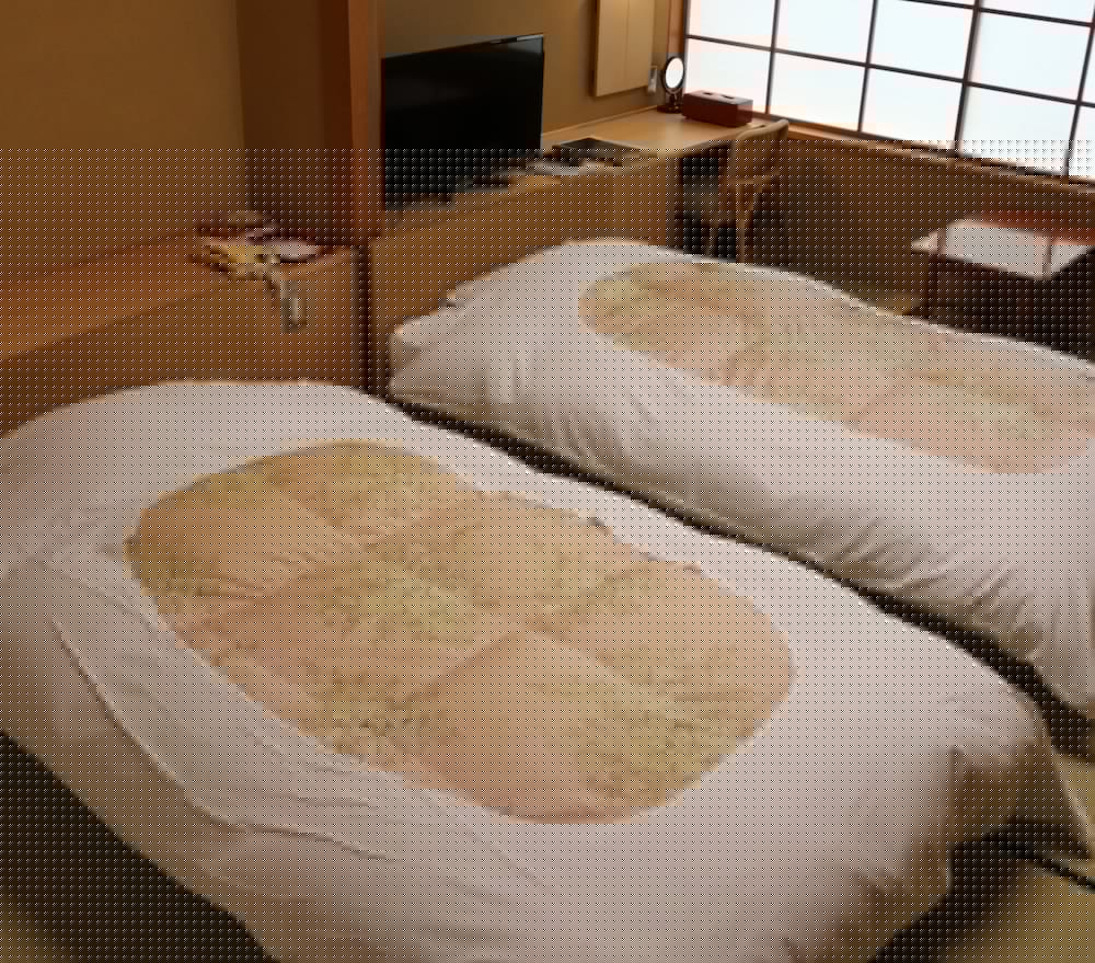 Ureshino Kanko Hotel Taishoya 5/42