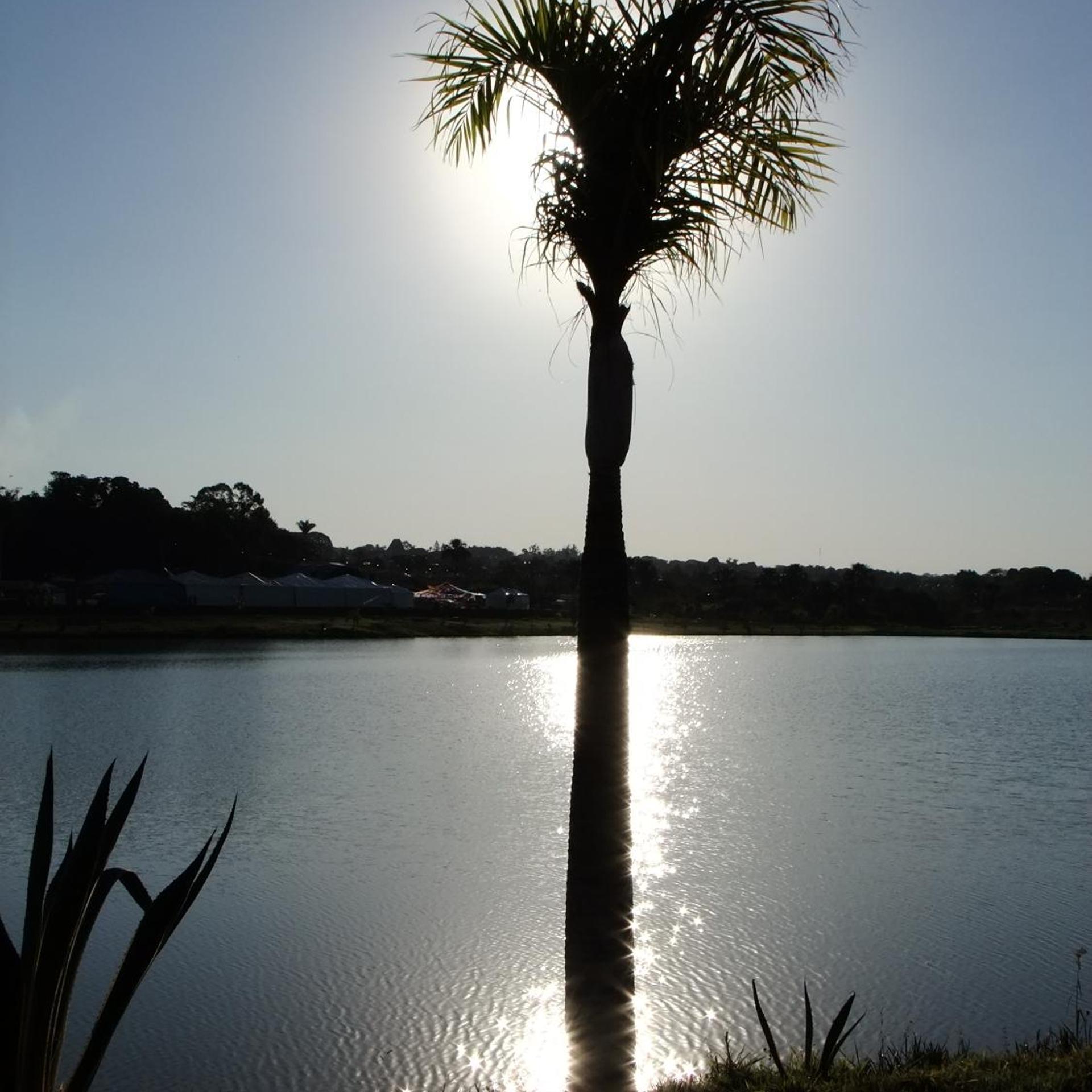 Beira Lago Palace Hotel 43/50