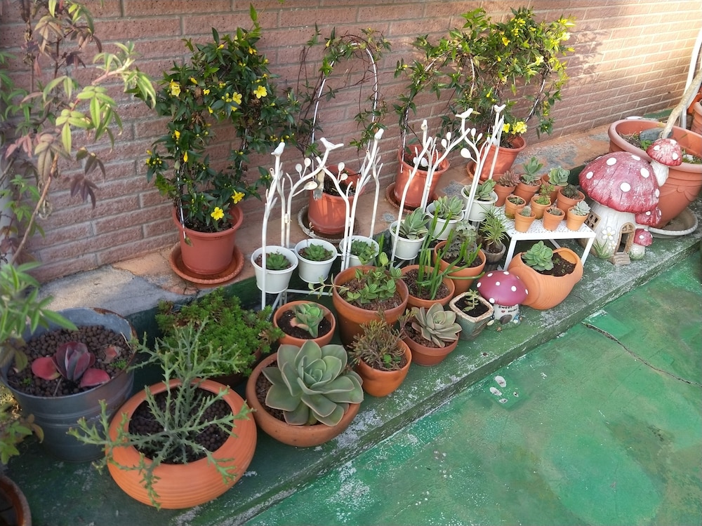 Garden Life Homestay B B 46/48