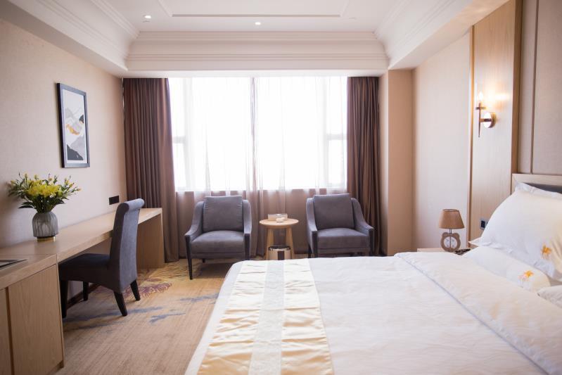 Falaide International Hotel 11/22