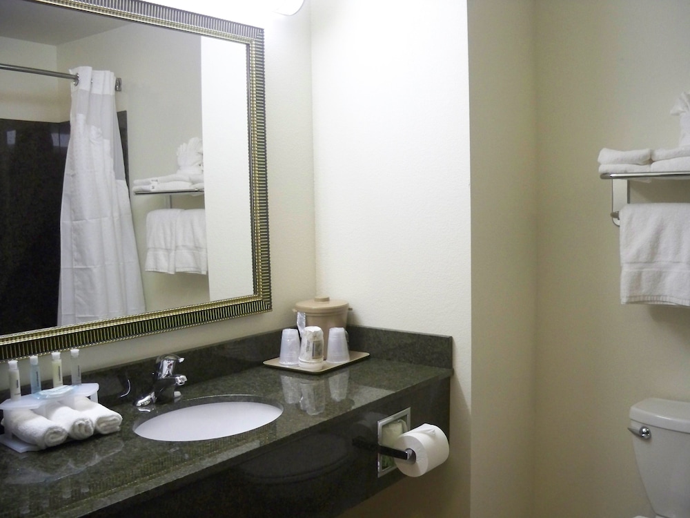 Holiday Inn Express Hotel And Suites Omaha I 80 17/53