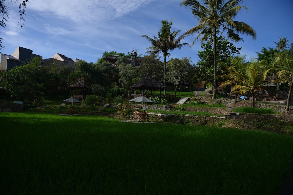 Padi Heritage Resort 24/32