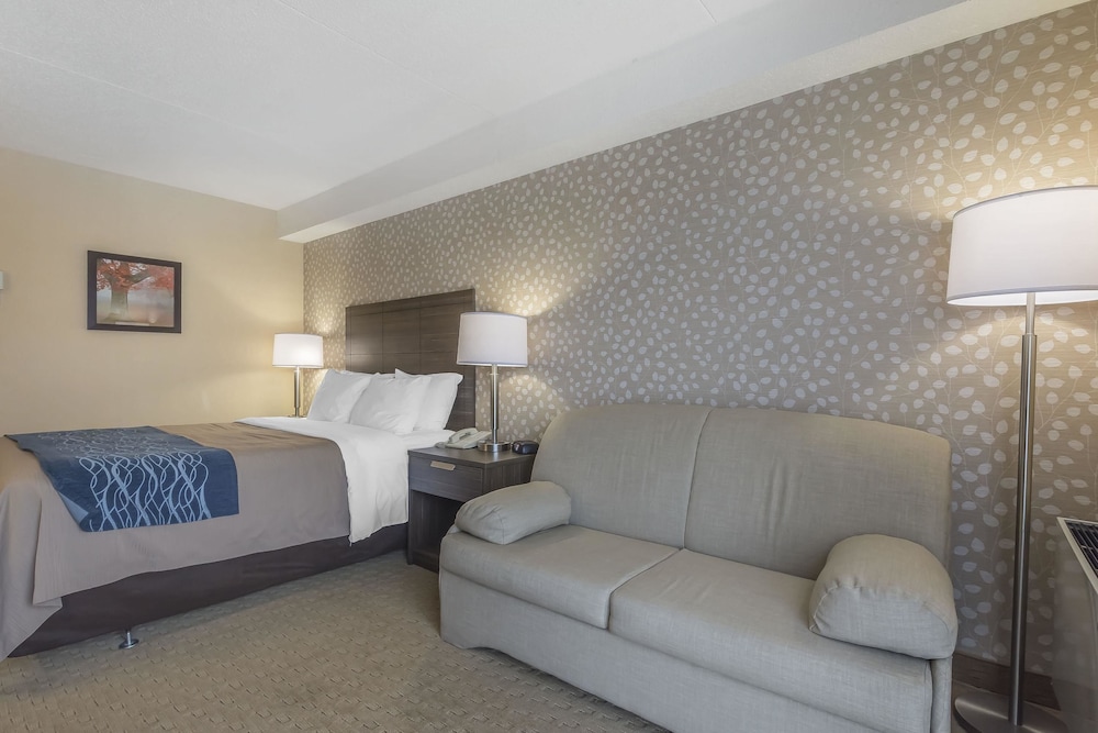 Comfort Inn Levis 23/33
