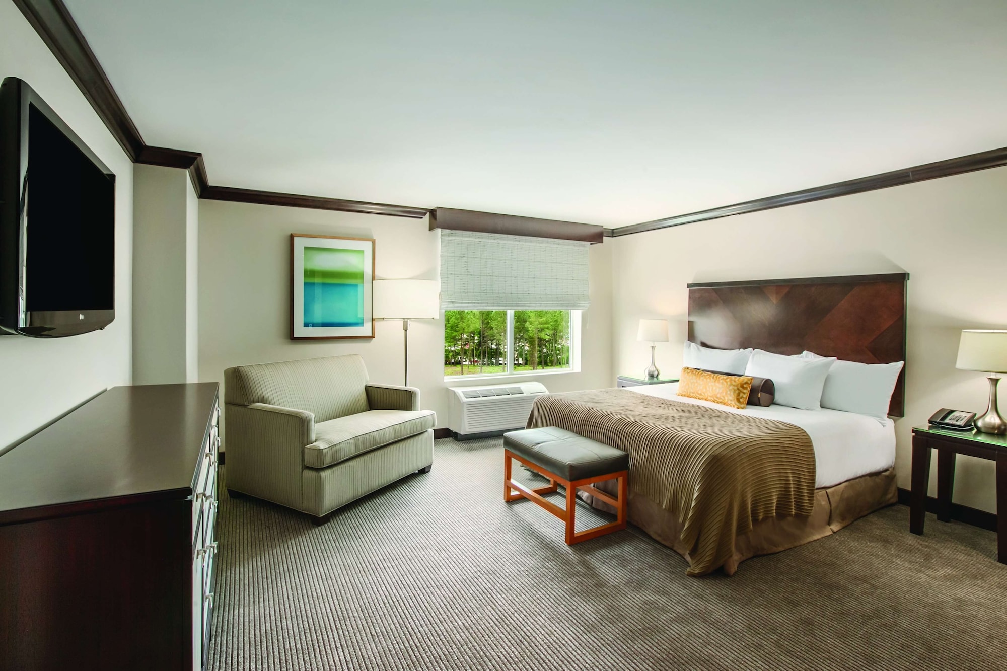 Room at Hyatt Place Raleigh Cary, RALEIGH - NC