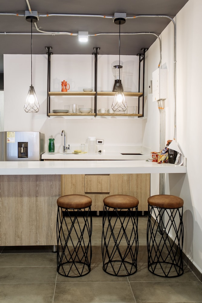Soy Local Housetel 12/50