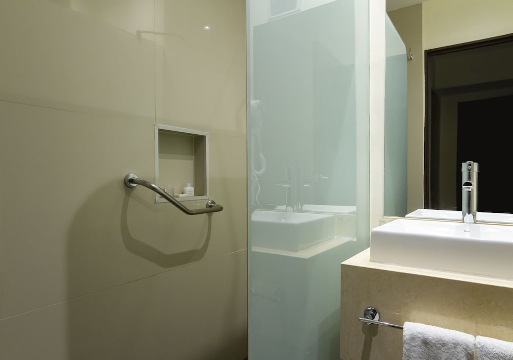 Park Royal Buenos Aires managed by Accor 6/65