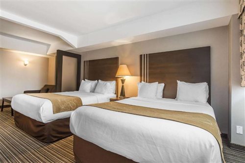 Room, Quadruple