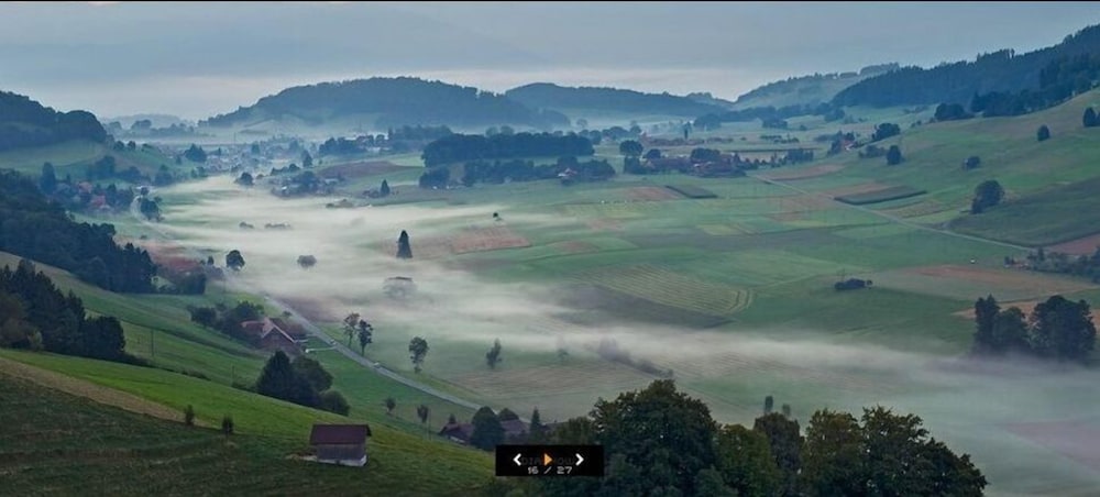 Hotel Baeren the Bear Inn 38/80