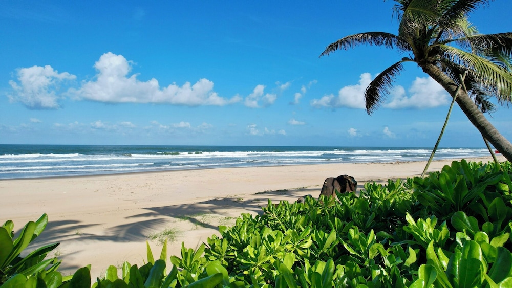 Bliss Hoi An Beach Resort and Wellness 44/49