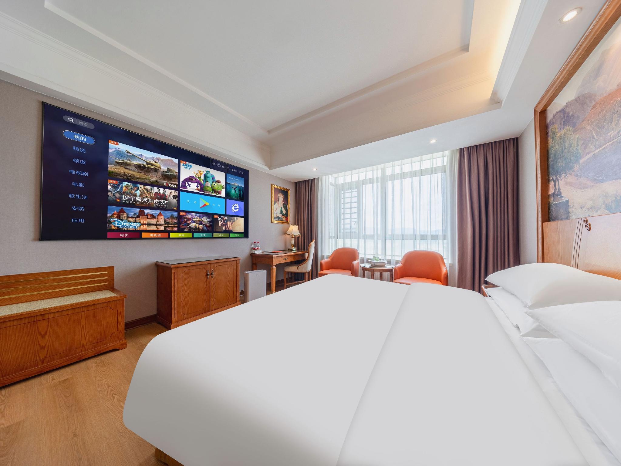 Vienna Hotel (Shantou Guiyu) 14/43