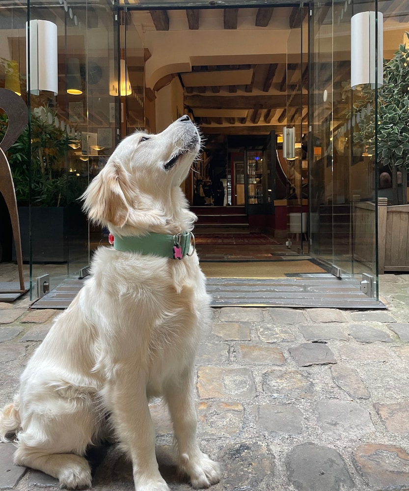 Hotel Du Jeu De Paume 26/50
