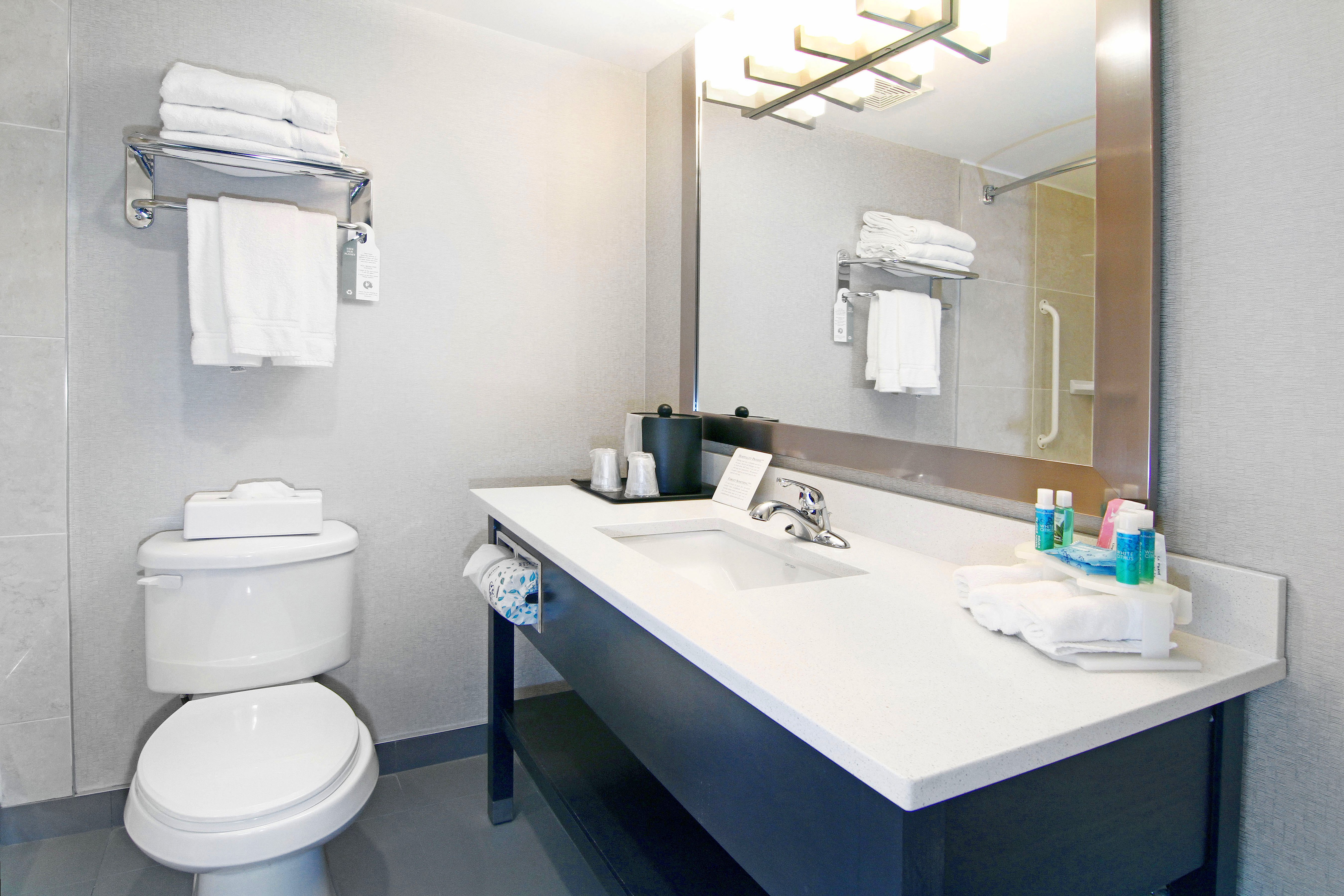 Holiday Inn Express Hotel & Suites Calgary 68/71