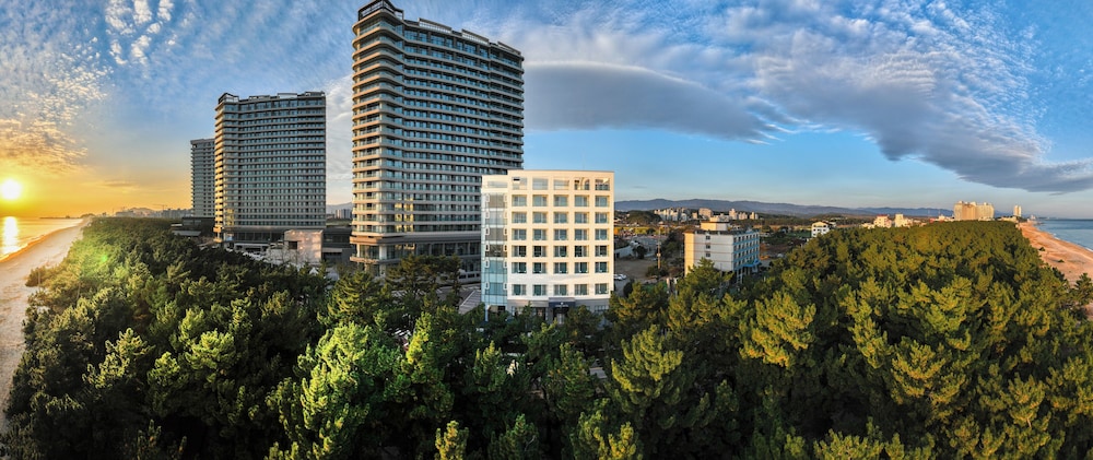 Avvio Hotel 5/50