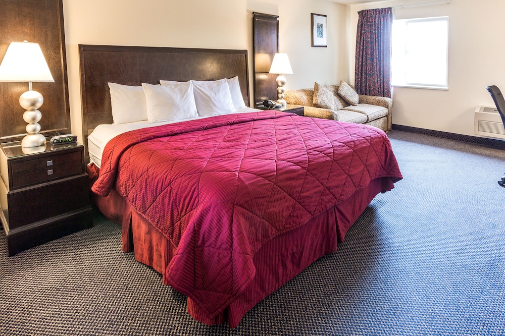 Cedars Inn 32/52