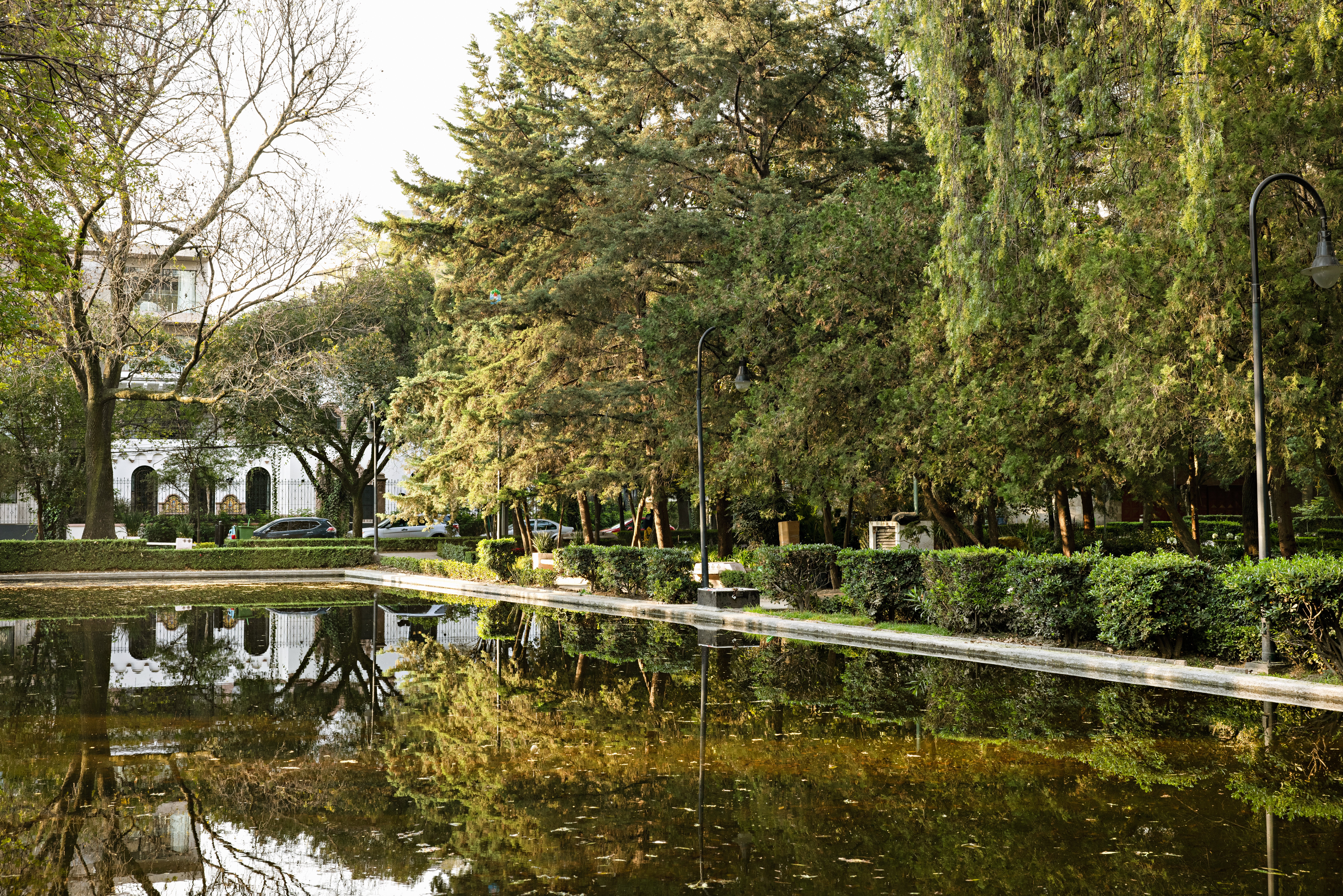 Casa Polanco 43/50