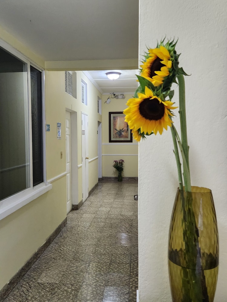Eco Hotel Mariscal 4/59