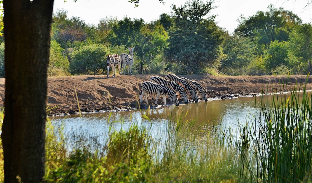 Black Rhino Game Lodge 25/69