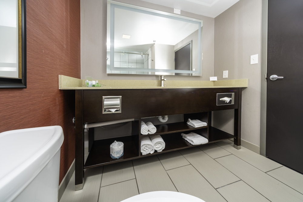 Holiday Inn Louisville East - Hurstbourne 61/78