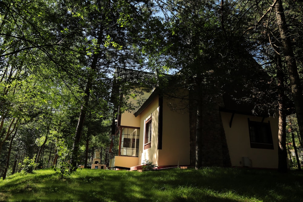 Bolu Koru Hotels Spa Convention 4/65