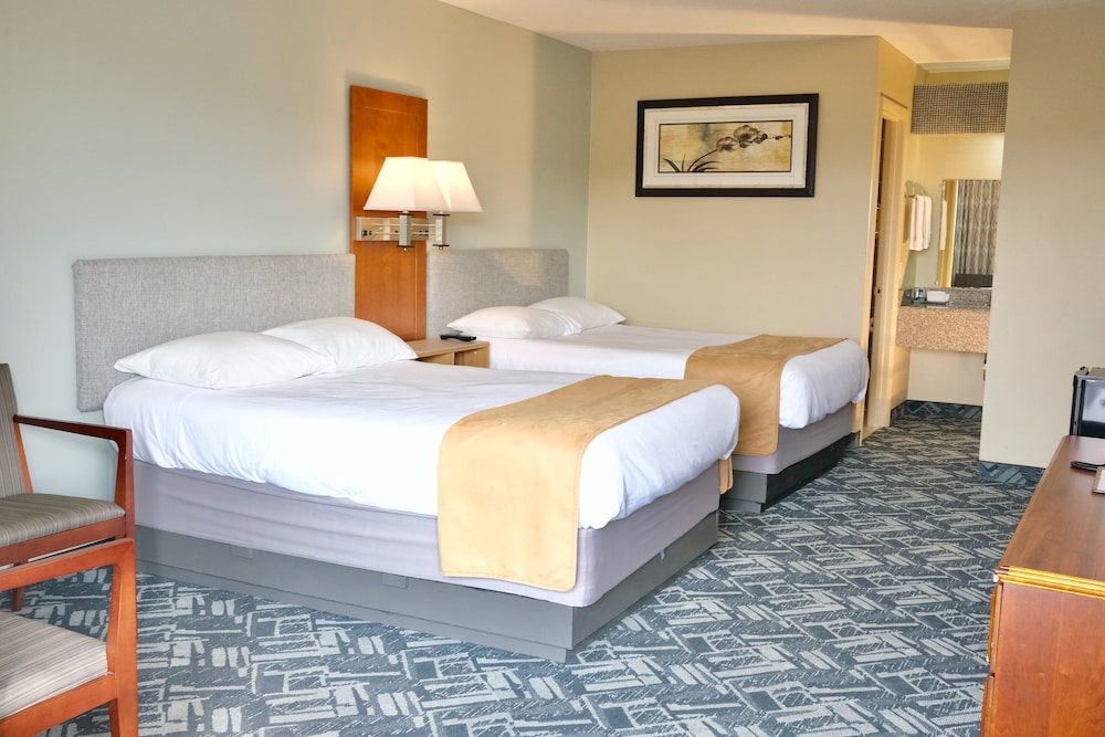 Regency Inn 23/72