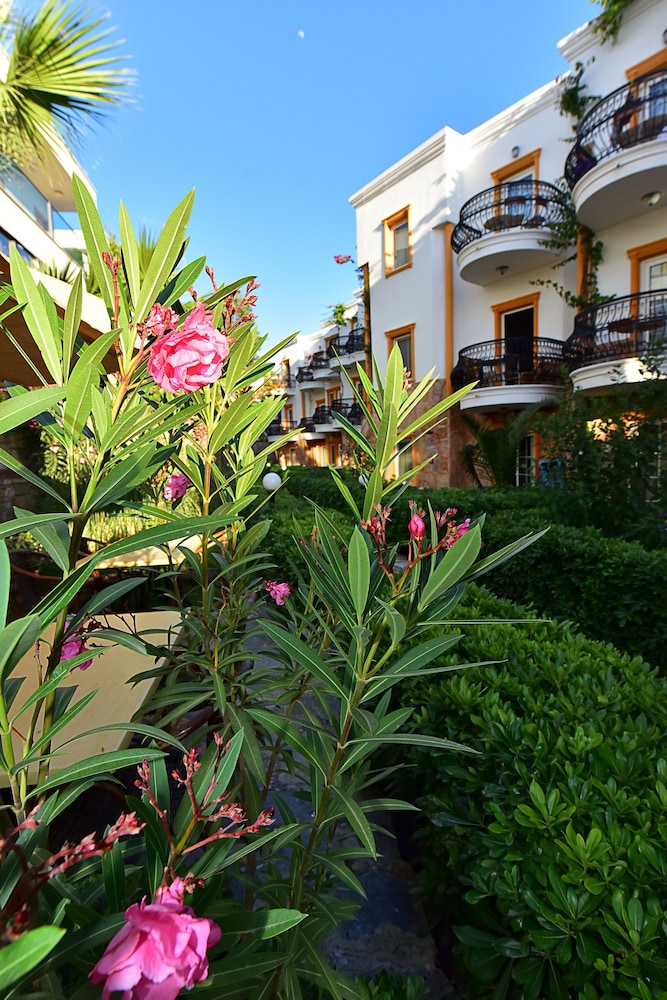 Tropicana Beach Apartments 21/38