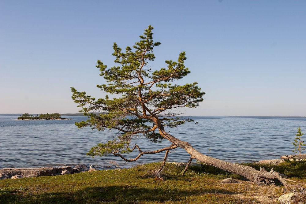 Wilderness Hotel Inari 55/65