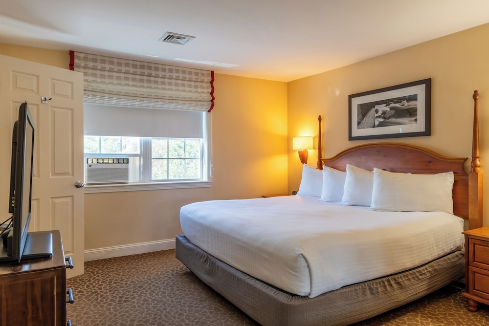 Suite, King Bed, Sofa