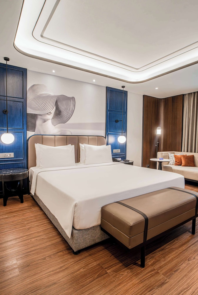 Radisson Blu Hotel Ahmedabad 17/71