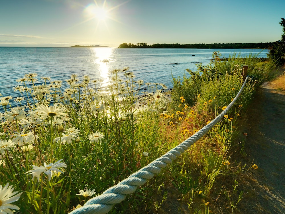 Sunrise Ridge Waterfront Resort 77/82