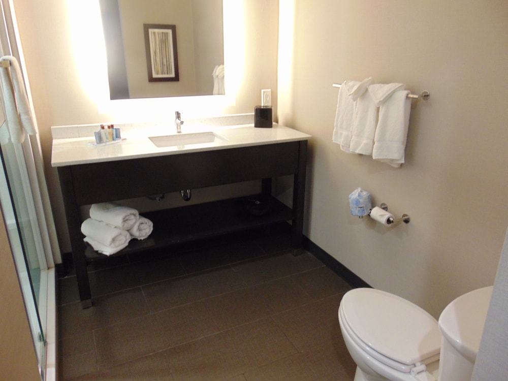 Wingate By Wyndham Lubbock 17/32