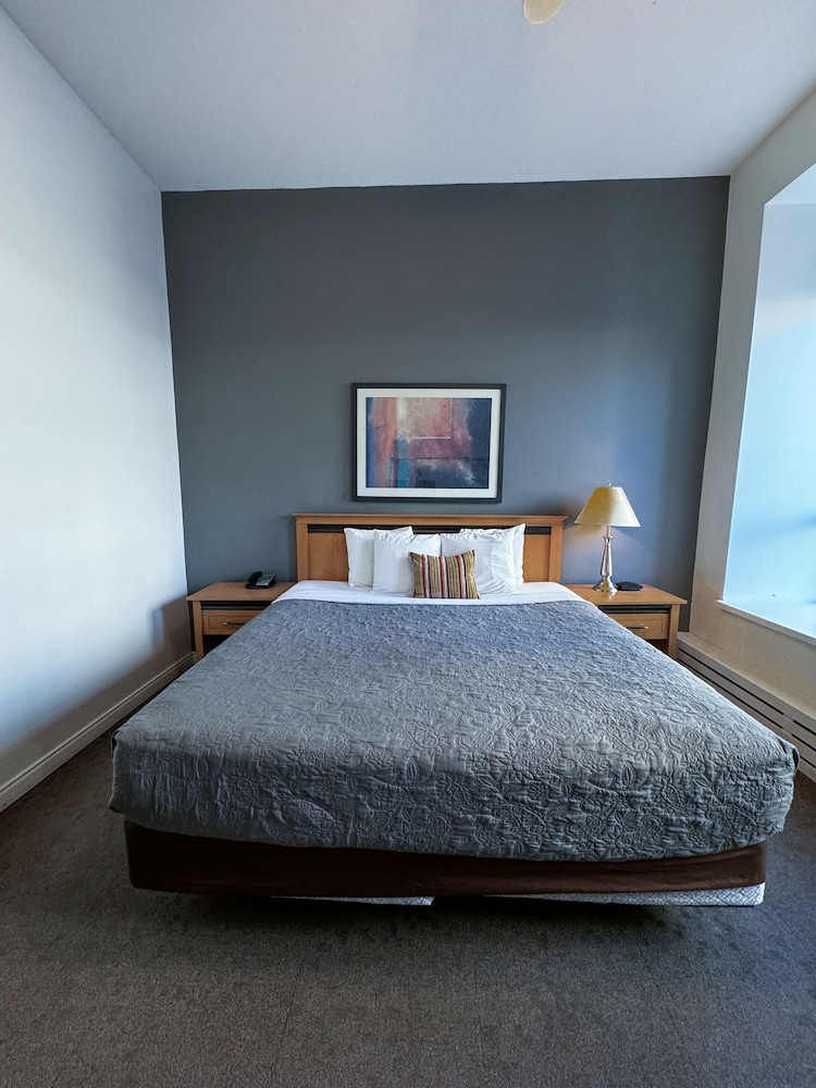 Met Hotel 16/50
