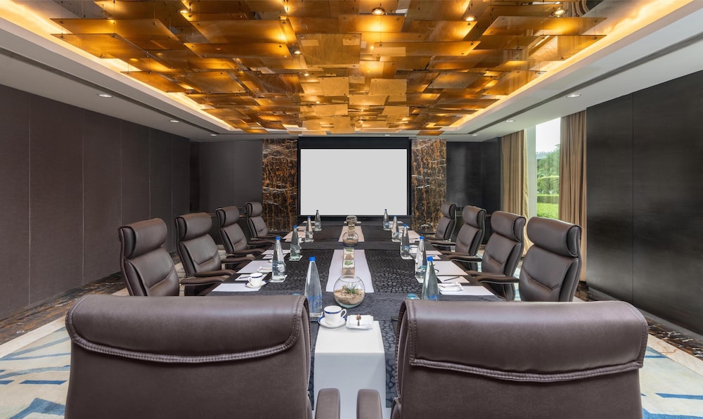 Radisson Blu Plaza Hotel Delhi Airport 66/76