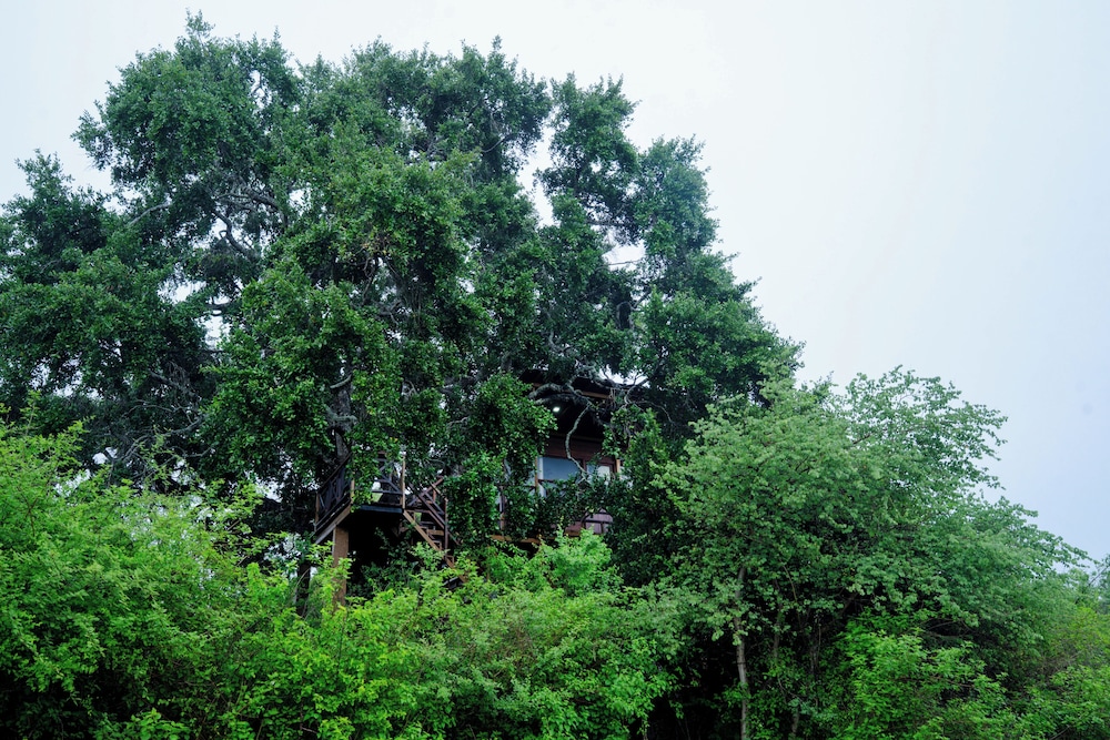 Leopard Nest Luxury Campsite 47/50