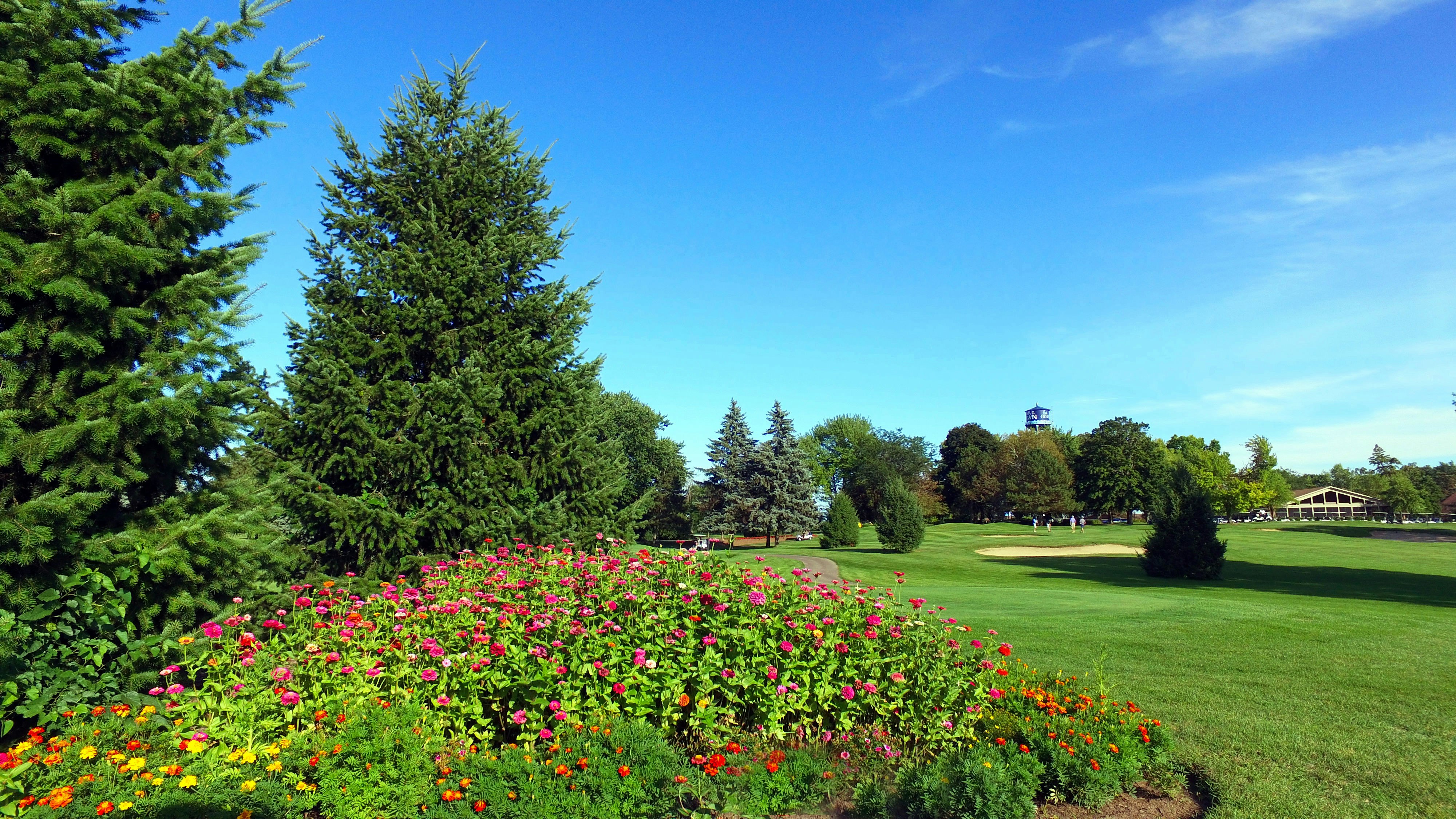 Lake Lawn Resort 36/41