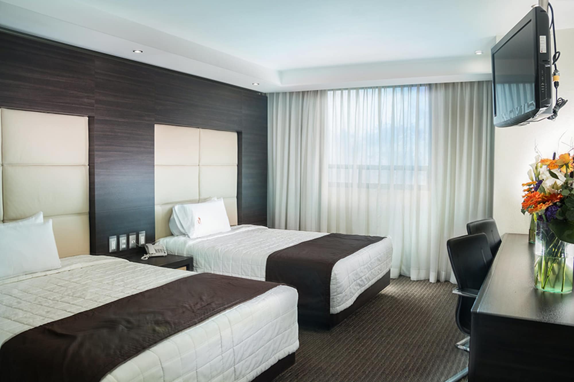 STANDARD, 2 QUEEN BEDS