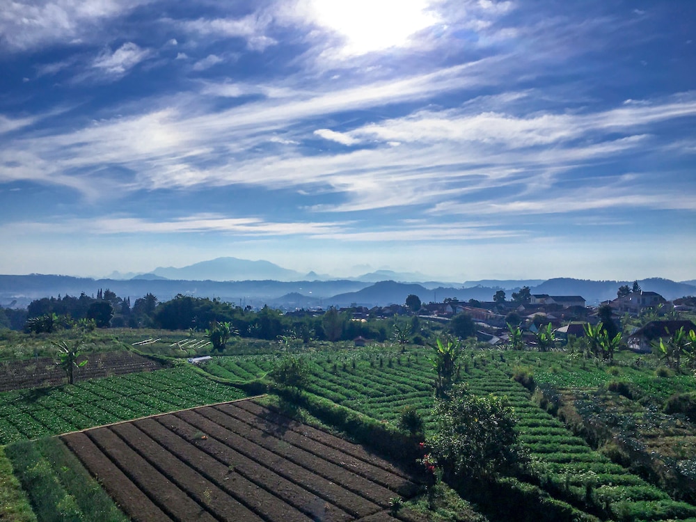Tangko Resort - Puncak Cipanas 39/50