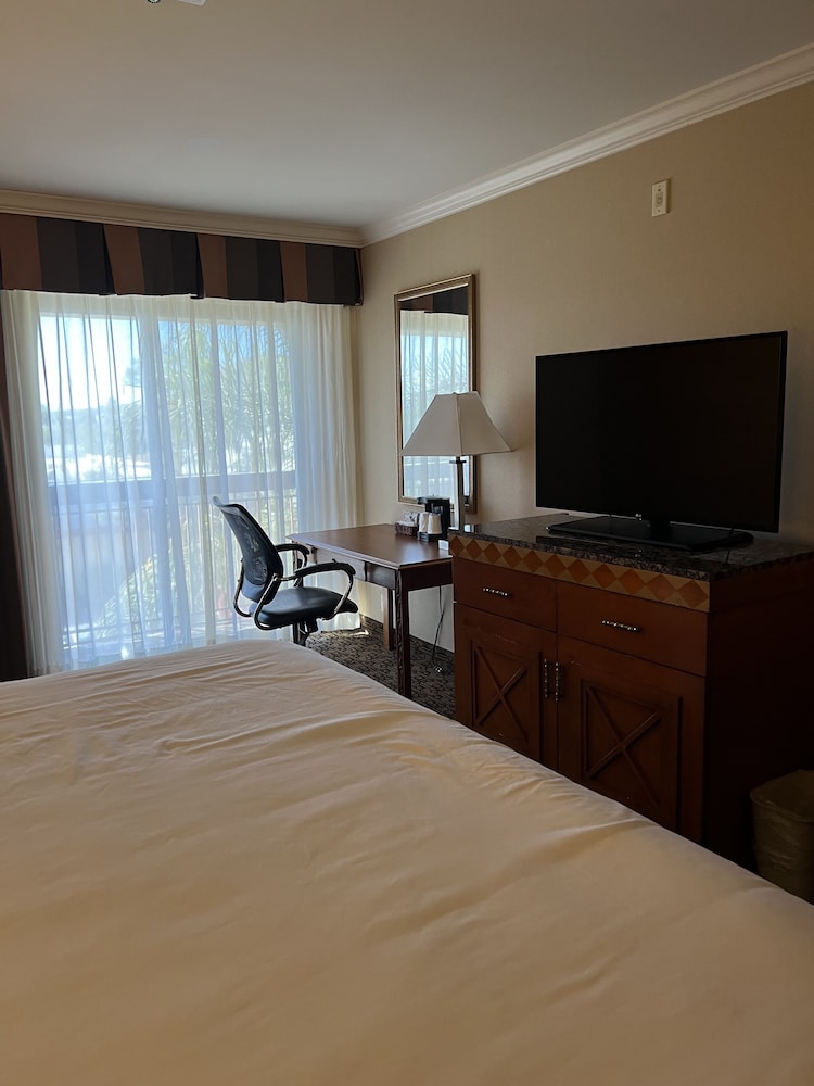 Hotel XOLA, Trademark Collection by Wyndham 15/50