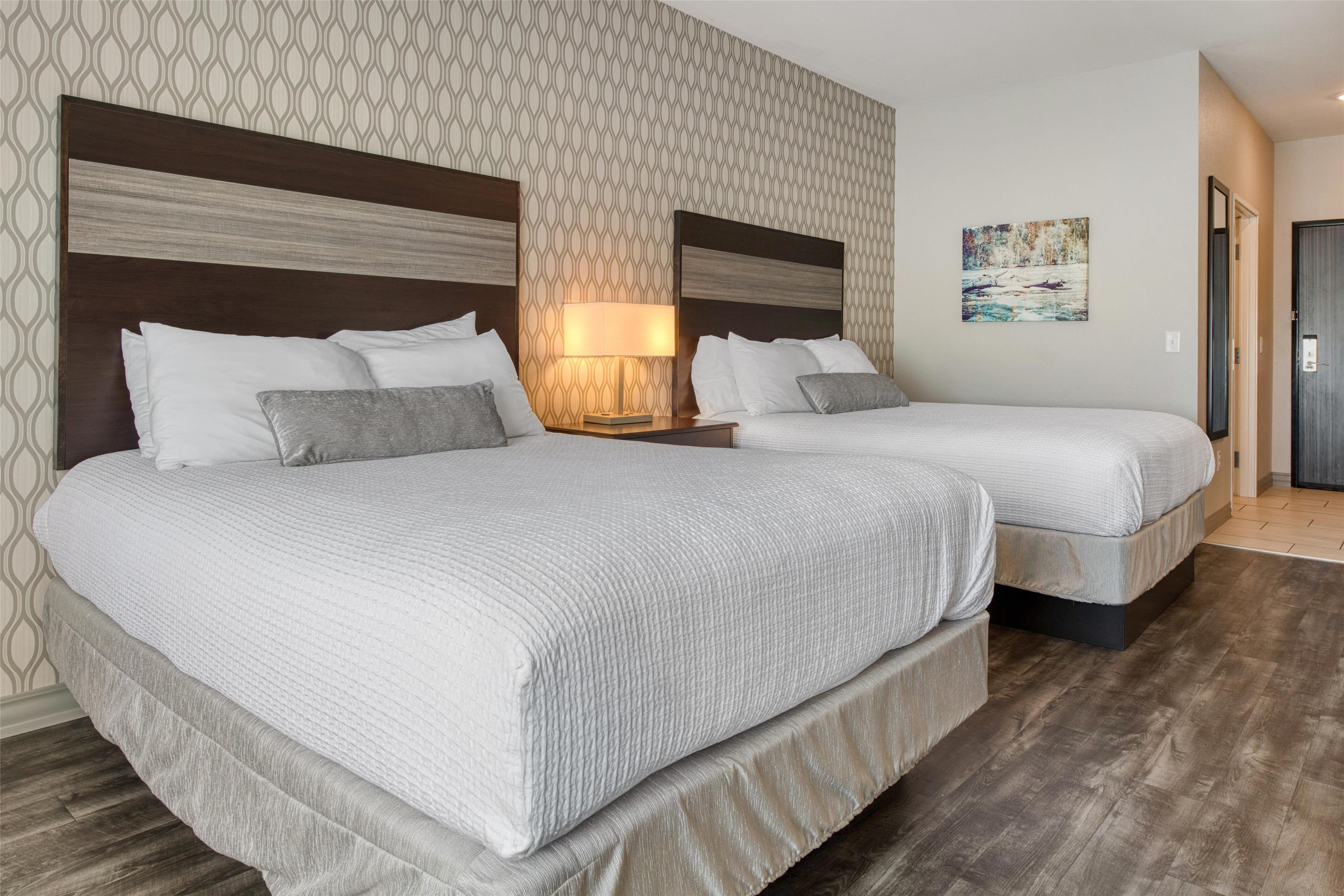 جناح بسريرين كوين، Best Western Plus Saint Peter 2/7
