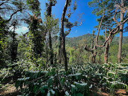 MERIYANDA NATURE LODGE, COORG 13/15