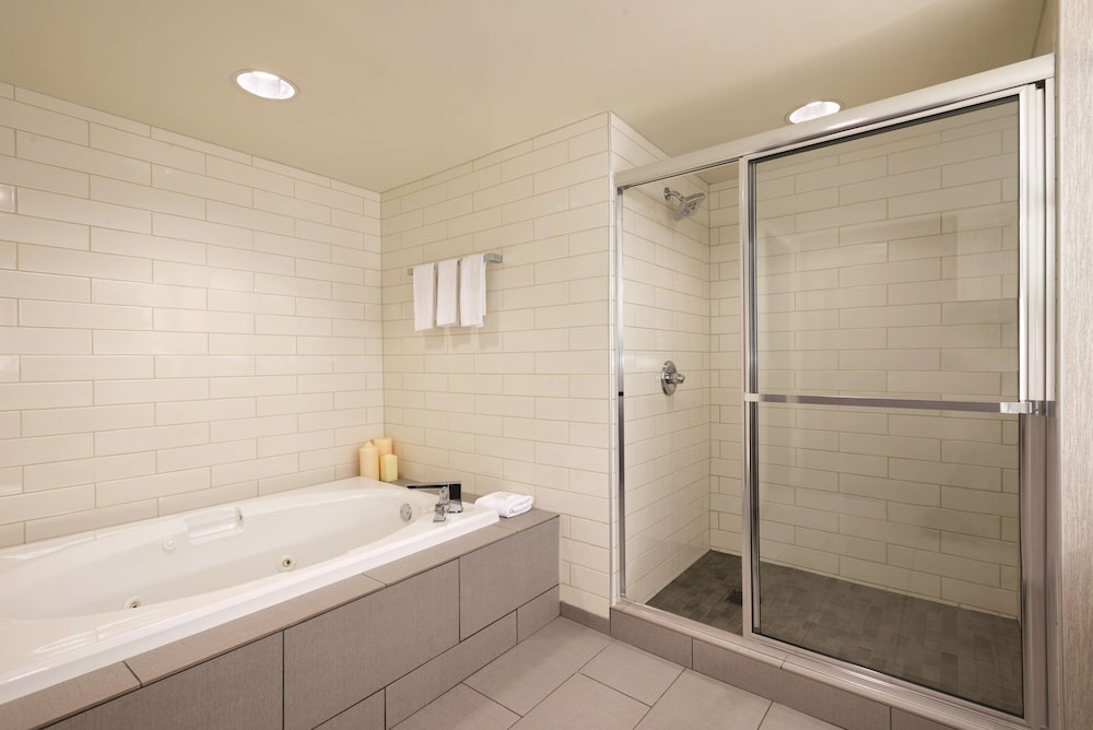 Embassy Suites by Hilton Atlanta at Centennial Olympic Park 15/69