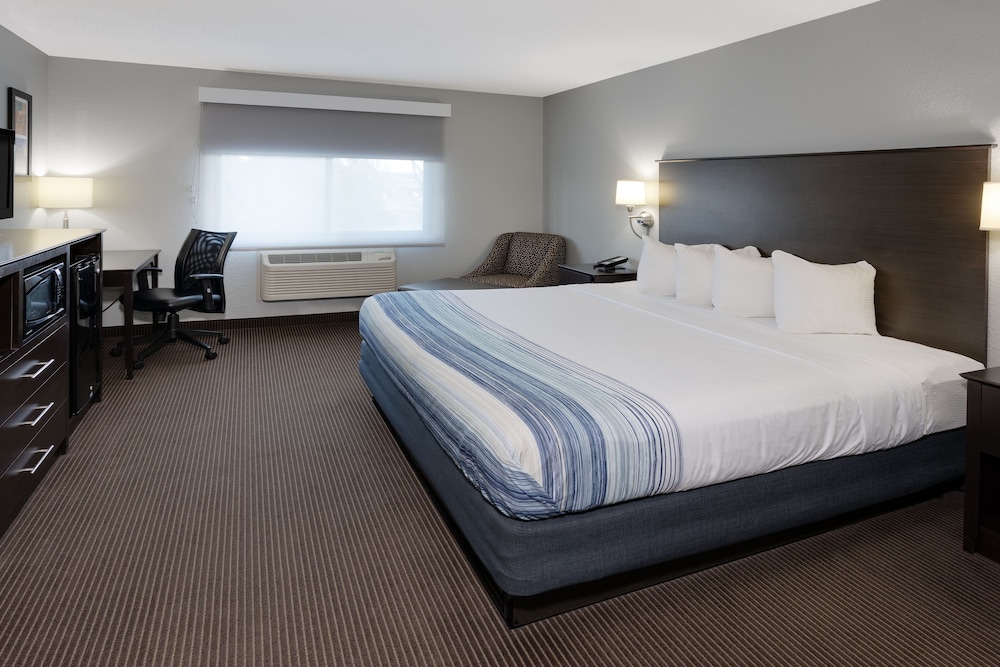 Room, King Bed