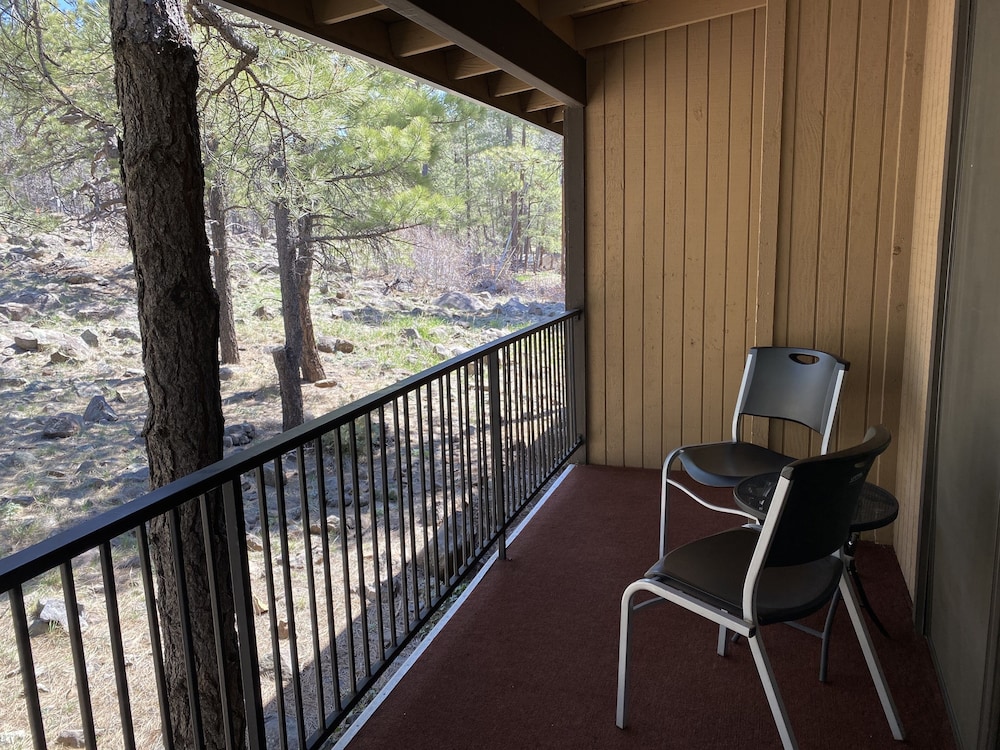 Motel In The Pines 26/41