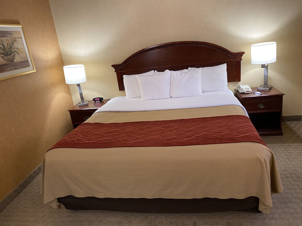 Quality Inn Near Walden Galleria Mall 8/36