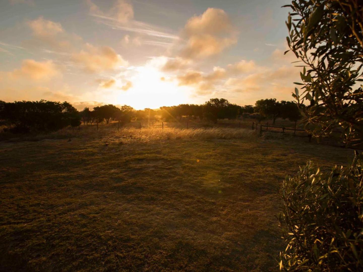 A Touch of Bushveld by the Sea 17/22
