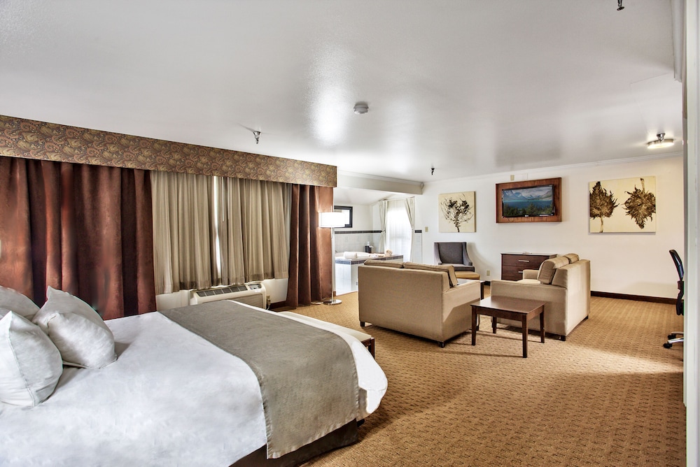 Best Western Mountain View Inn 23/39