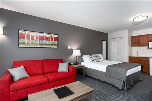 Hotel Room (1 Queen Bed + Sofa Bed)