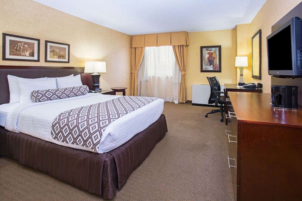 Crowne Plaza Denver Airport Convention Ctr, an Ihg Hotel 15/41